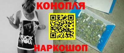 бошки Будённовск