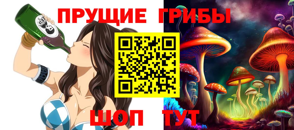 Галлюциногенные грибы Cubensis Нижний Тагил